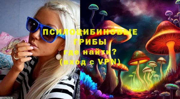 МДПВ Липки