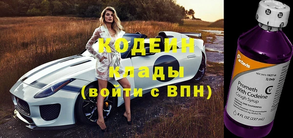 МДПВ Липки