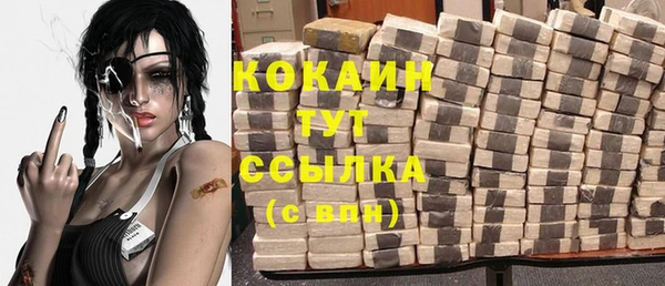 МДПВ Липки