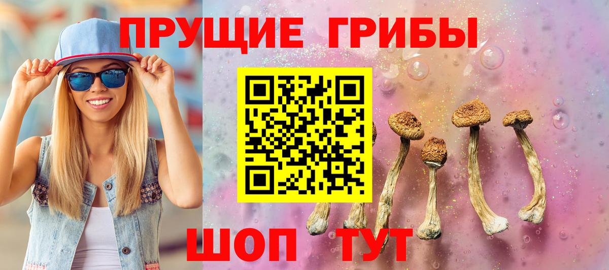 Псилоцибиновые грибы прущие грибы Дмитров